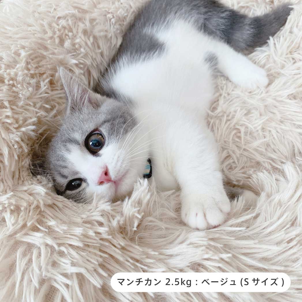 ふわふわラウンドクッション(S/M/L) 種類: ライトグレー S(50㎝)