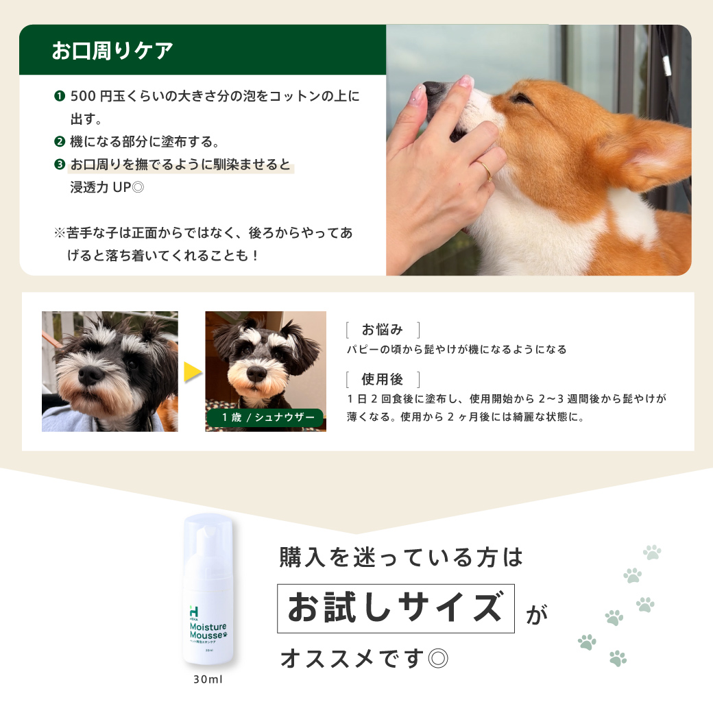 モイスチャームース サイズ: 30ml(定価¥1,080)