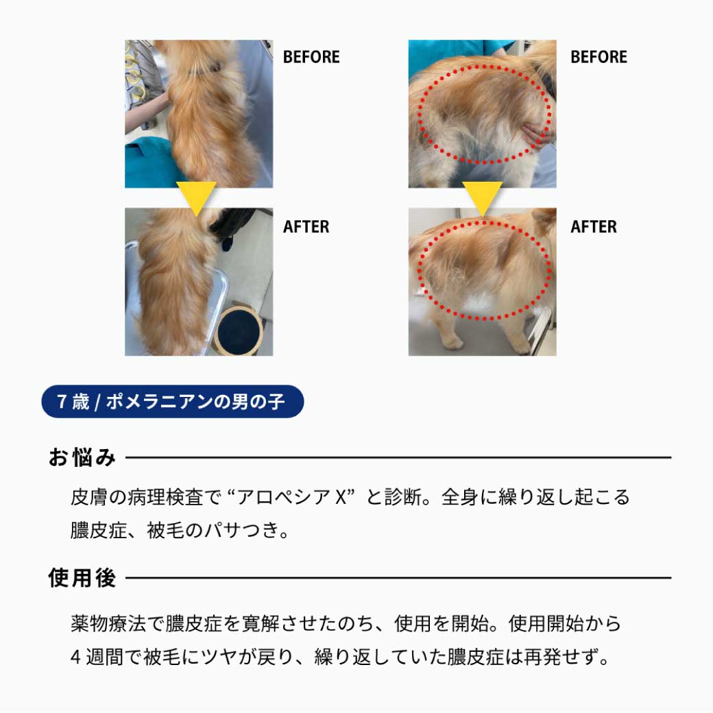 【送料無料】はじめてのHEKAセット 種類: 各1種(サーモン/ラム/ターキー)