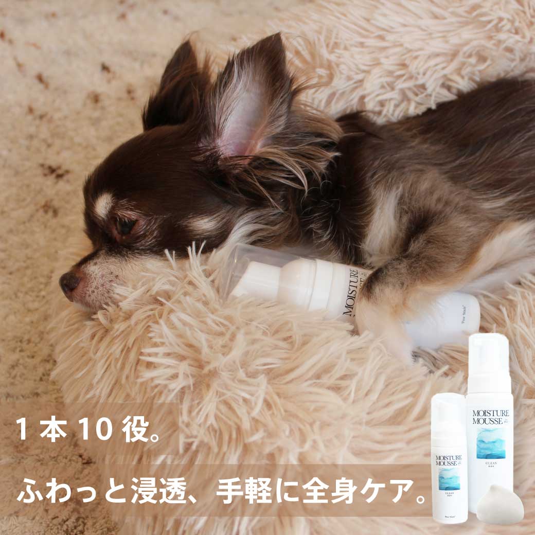 モイスチャームース サイズ: 30ml(定価¥1,080)