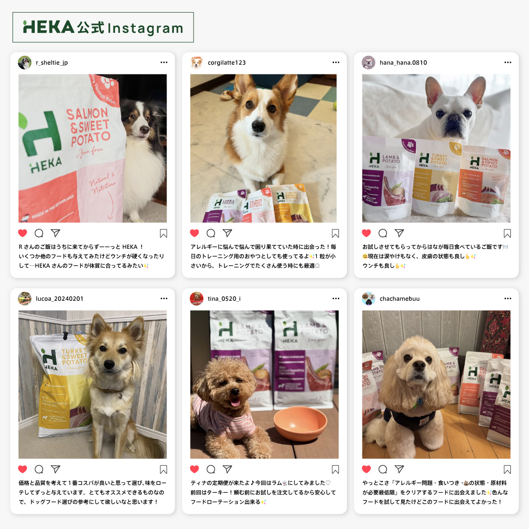 HEKAグレインフリードッグフード サーモン (100g/1.8kg/3.6kg