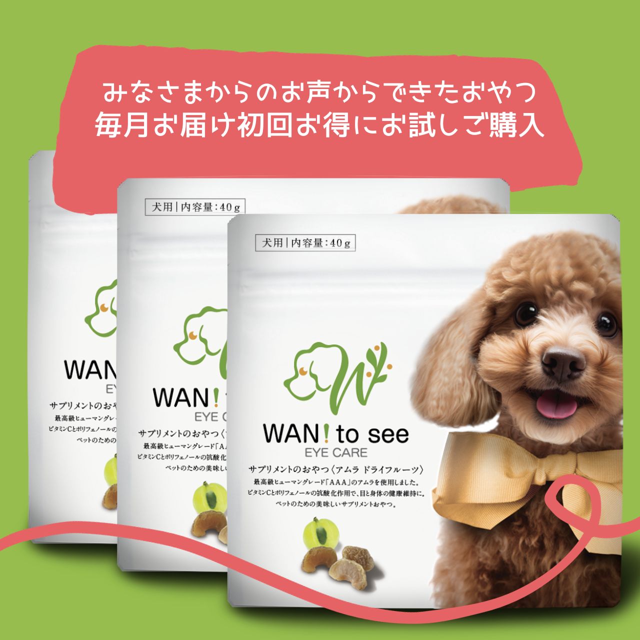 【大型犬用】 WAN!to see(初回お試し3袋カラダいきいきプラン）