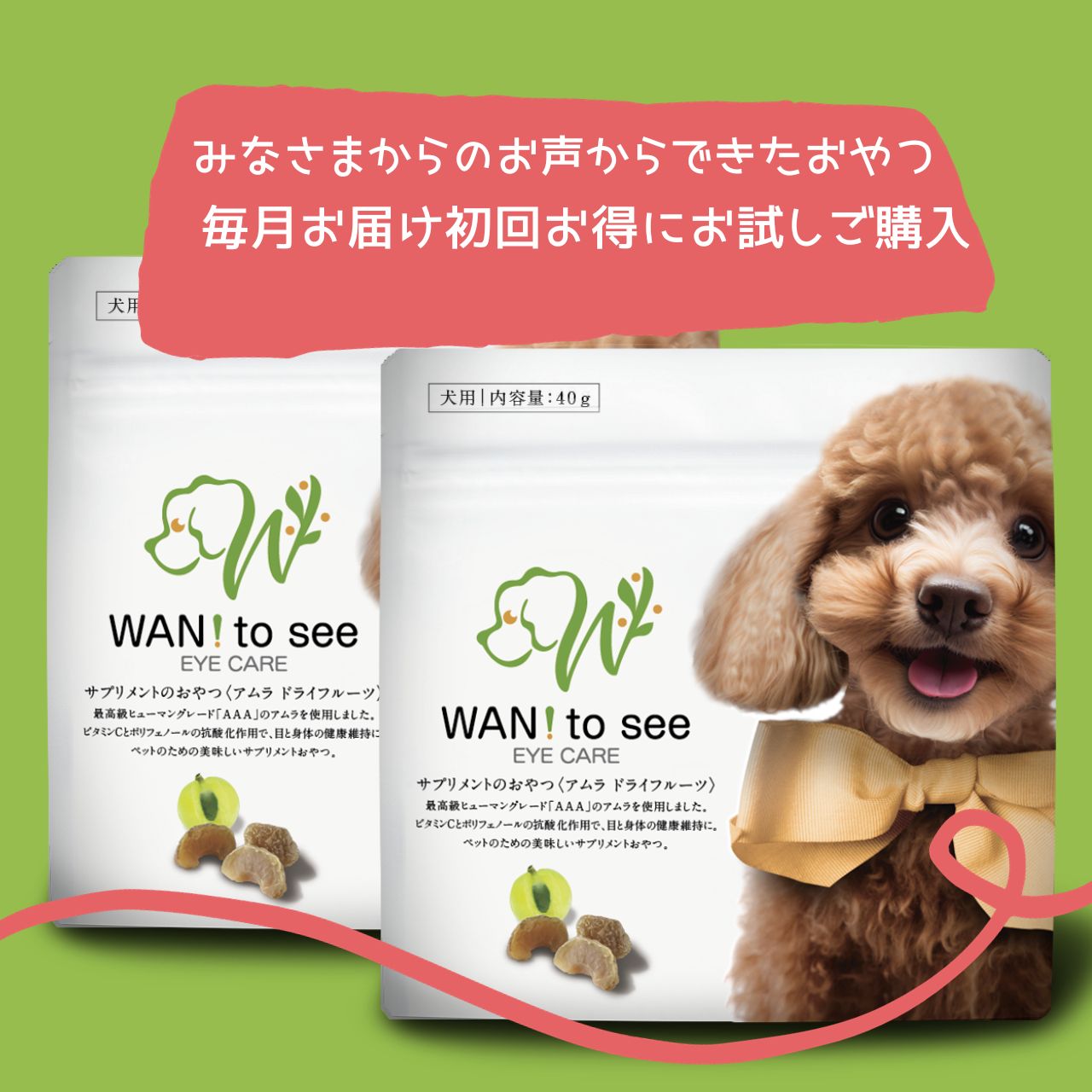 【中型犬用】WAN!to see(初回お試し2袋カラダいきいきプラン）