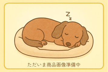 商品画像準備中