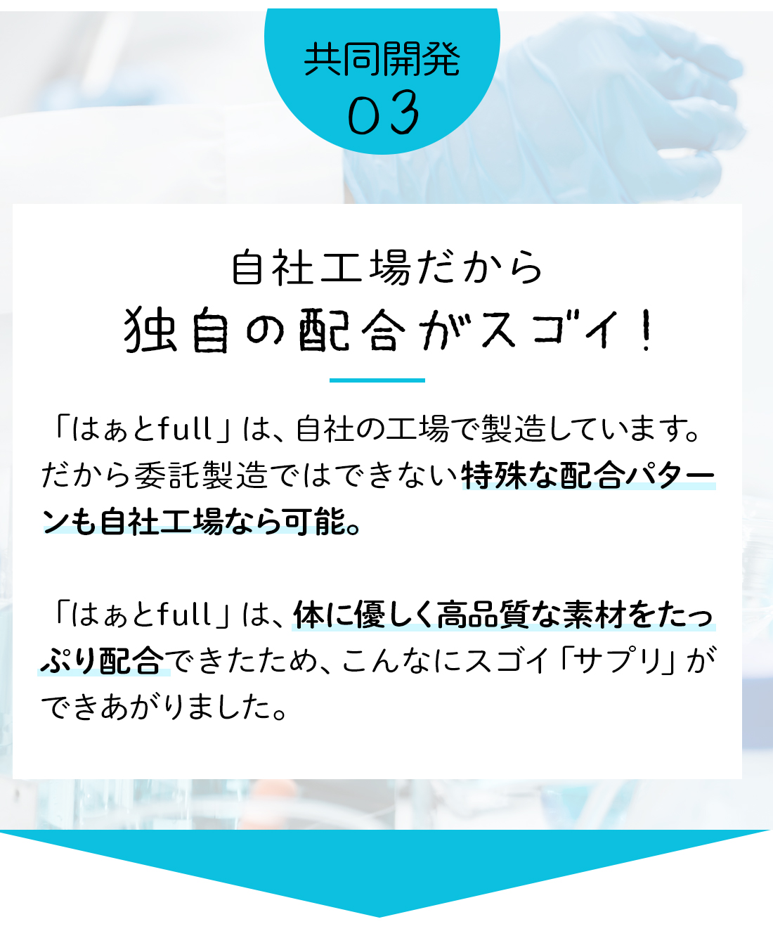ペットリコ,ハートfull