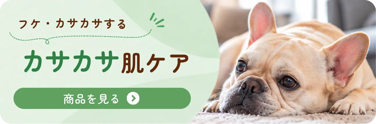 フケ・カサカサする カサカサ肌ケア