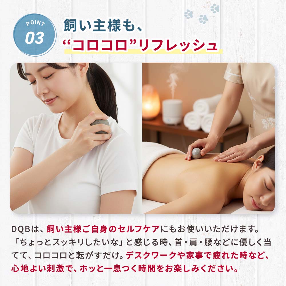 NEW】量子波マッサージボール DQB（2個セット）｜ペットスタンス