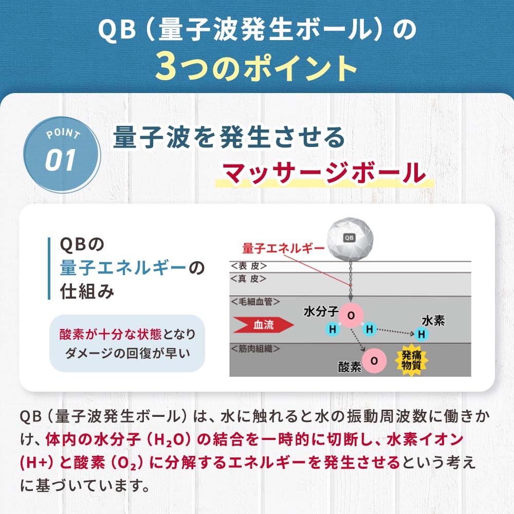NEW】量子波マッサージボール DQB（2個セット）｜ペットスタンス