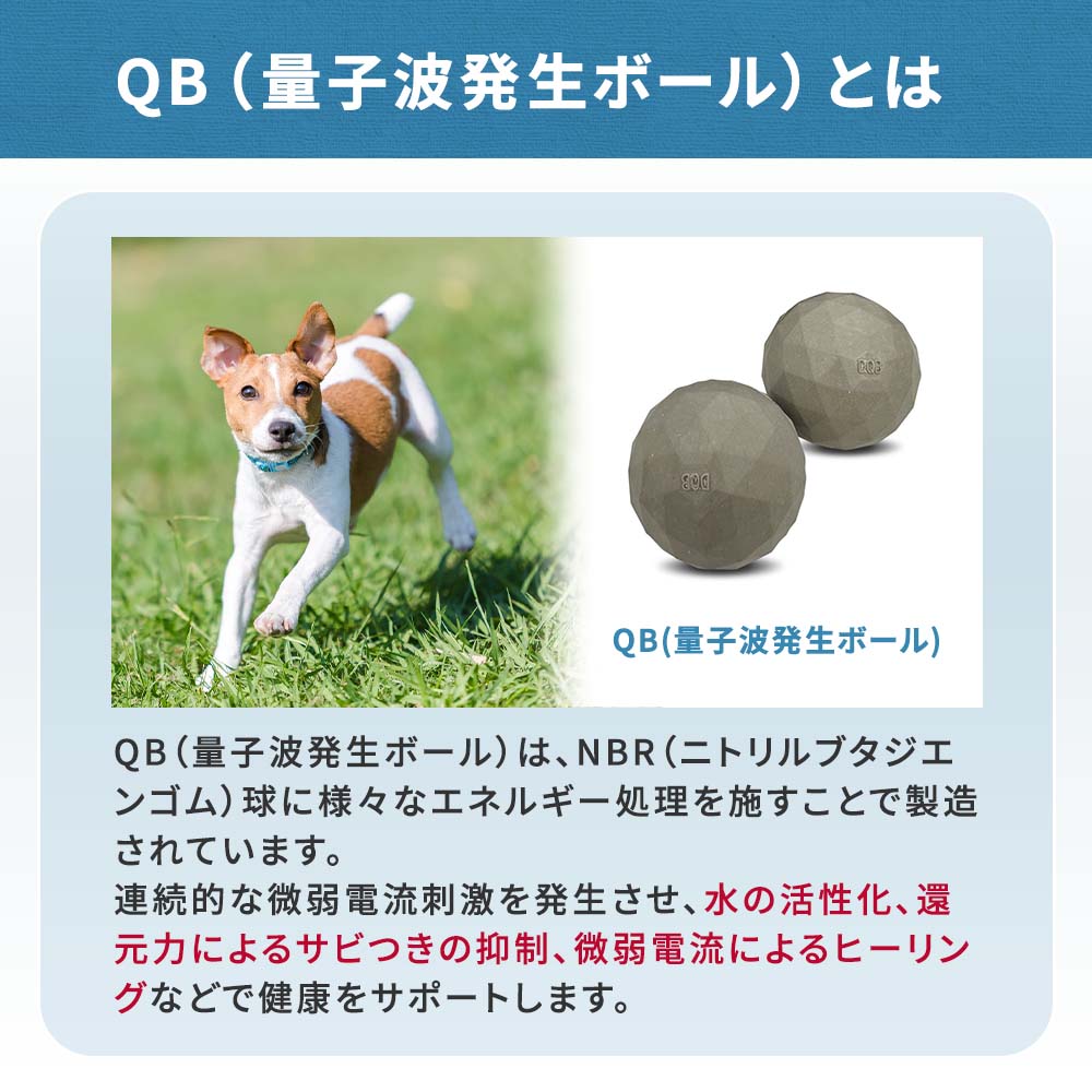 NEW】量子波マッサージボール DQB（2個セット）｜ペットスタンス