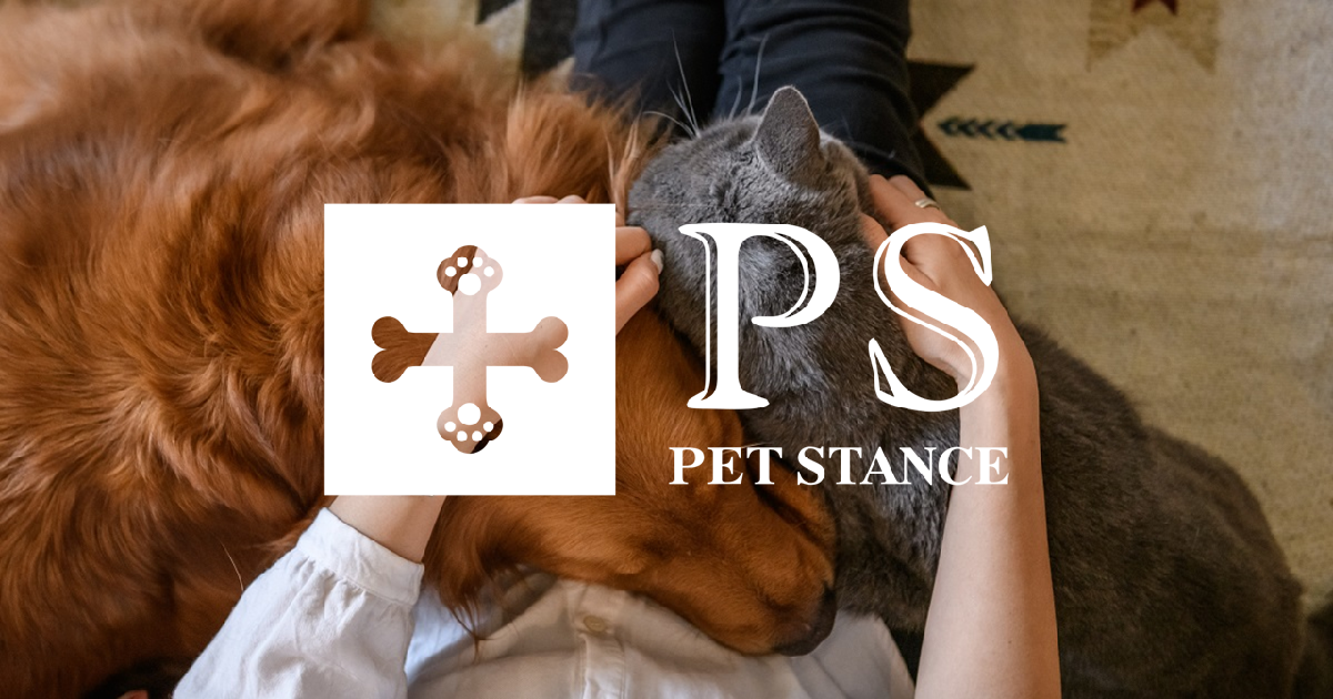 新発売！QBケルスターforPET