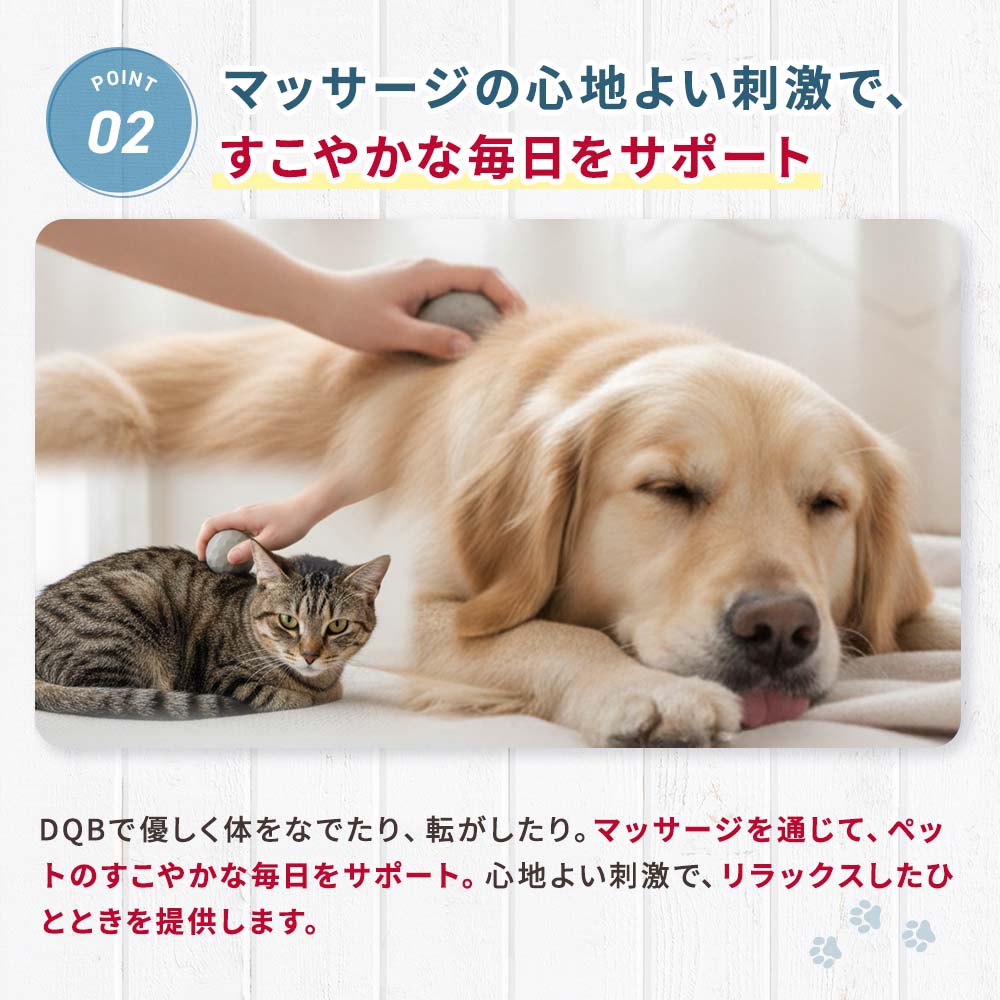 NEW】量子波マッサージボール DQB（2個セット）｜ペットスタンス