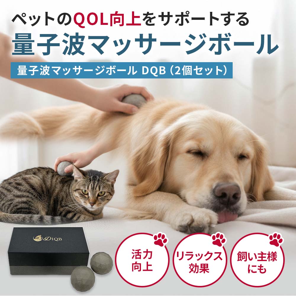 NEW】量子波マッサージボール DQB（2個セット）｜ペットスタンス