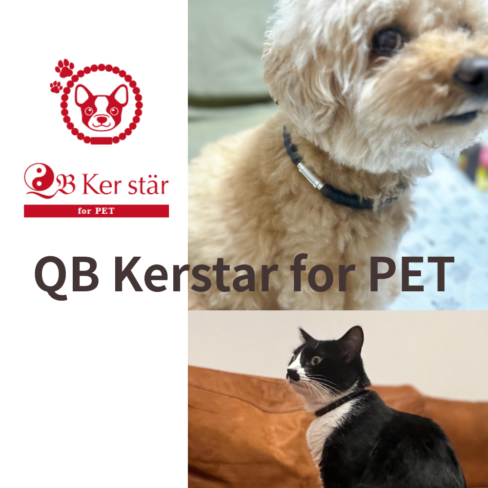 QBケルスター QB Ker stär ネックレス ホワイト 新発売！QBケルスター 