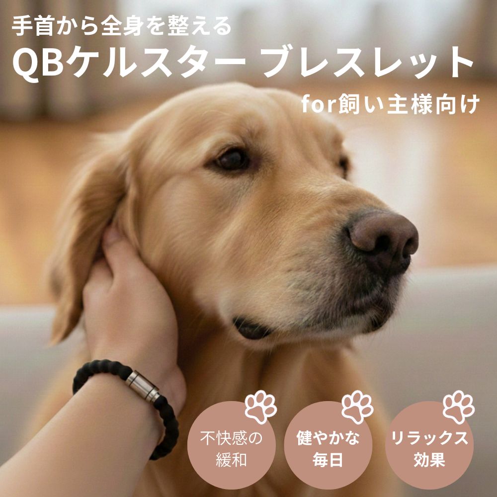 QBケルスター ブレスレット