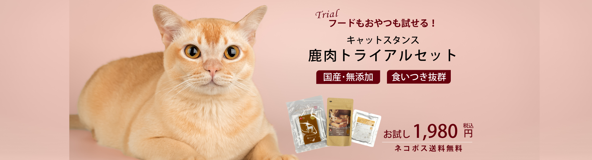 トライアルセット