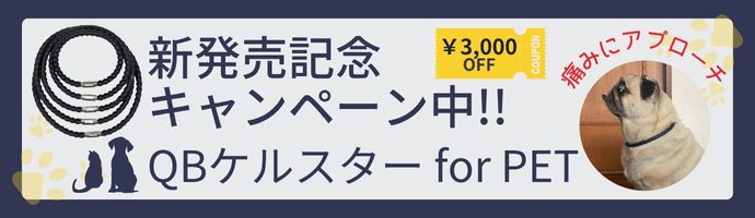 qbケルスターforPET