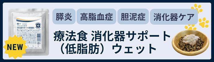消化器サポート