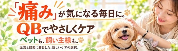 痛みの解決にQB