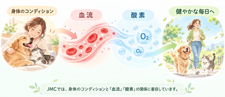 身体のコンディションと血流・酸素の関係を表したイメージ