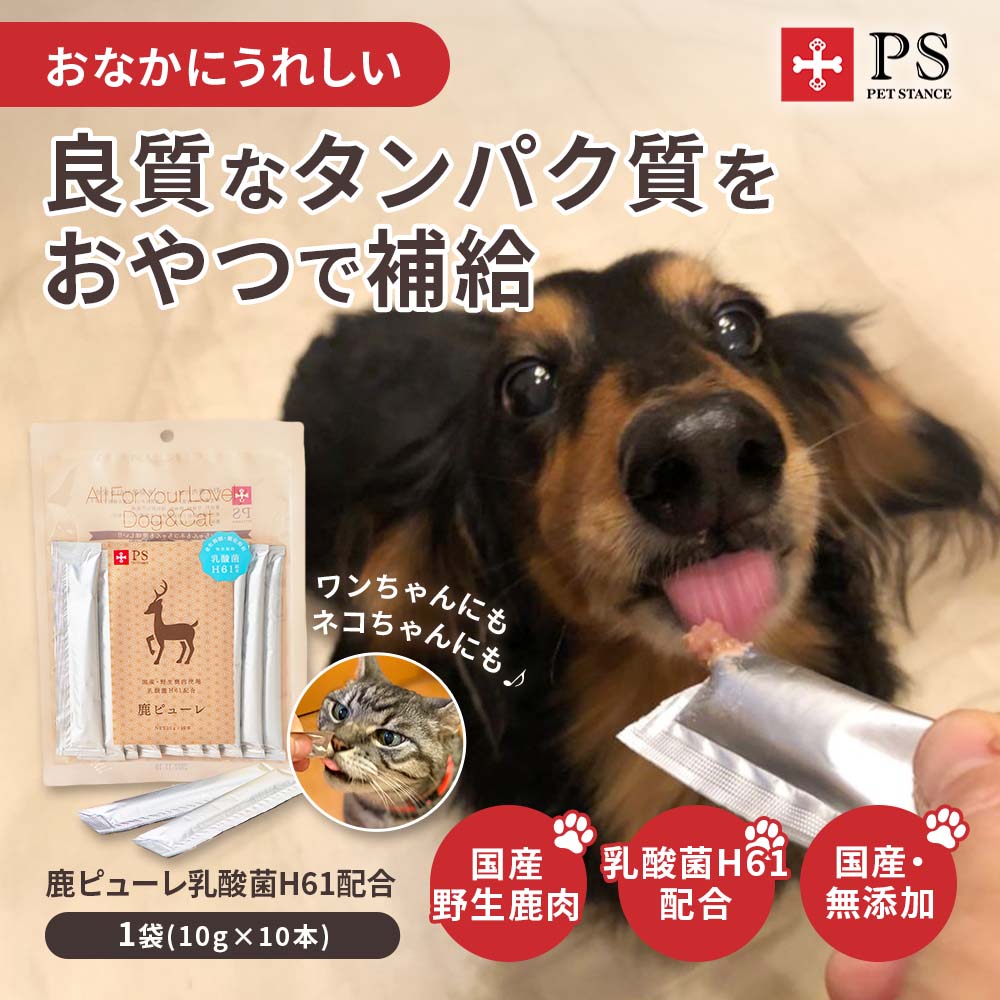 鹿ピューレ乳酸菌H61配合