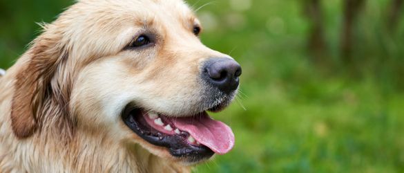 太陽・暑さアイコン