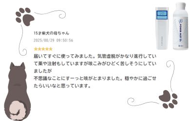 15才柴犬の母ちゃん様