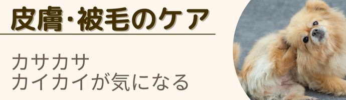 皮膚被毛のケア
