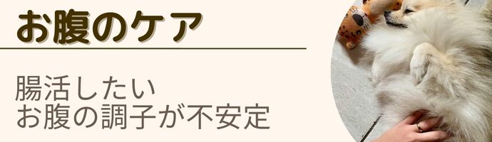 お腹のケア