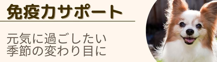 免疫力サポート
