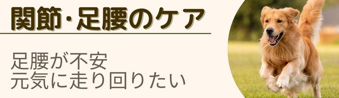 関節・足腰のケア
