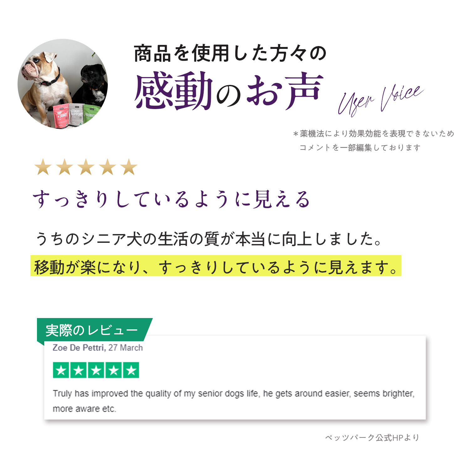 犬用アイサポート