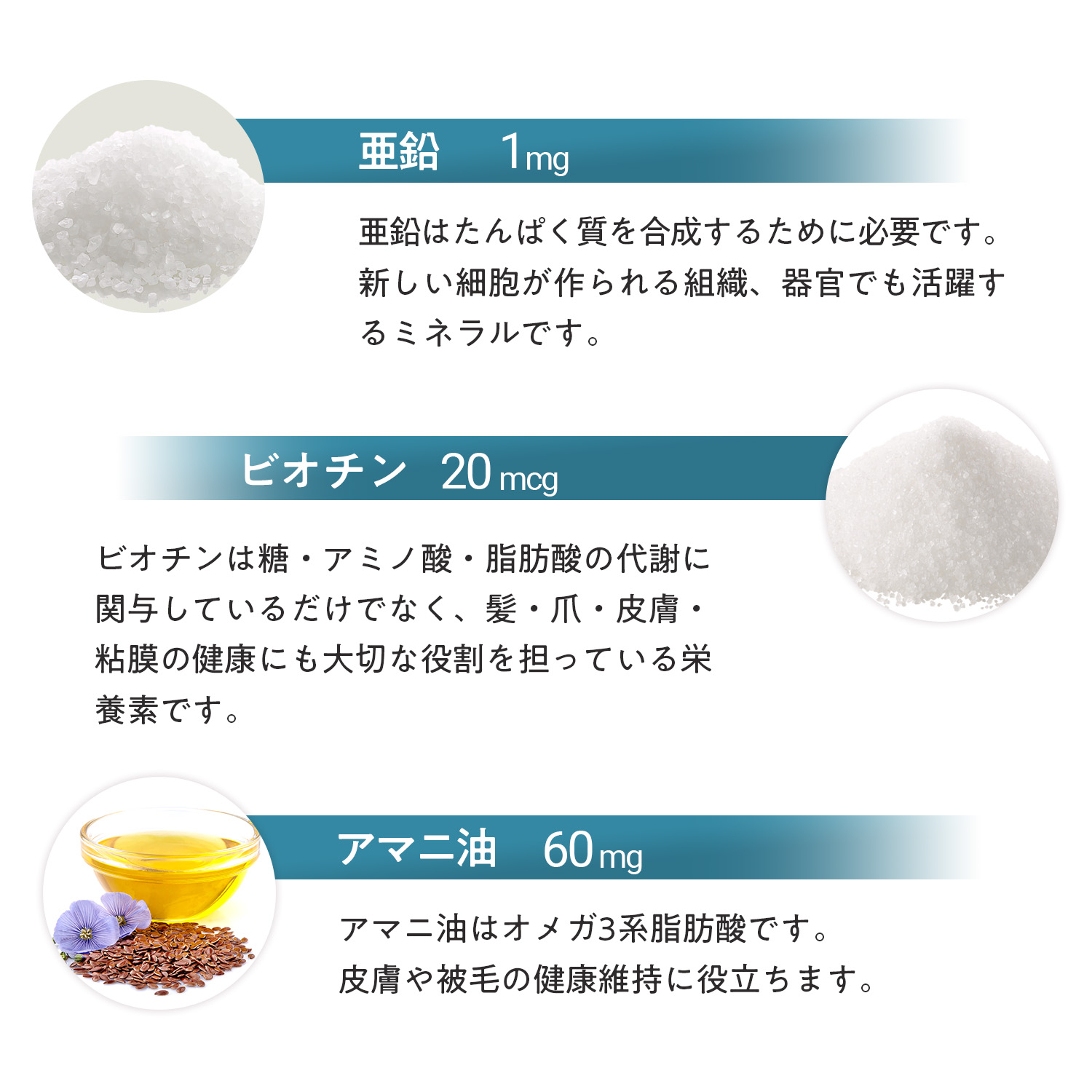 犬用スキン+コート（皮膚・被毛ケア）