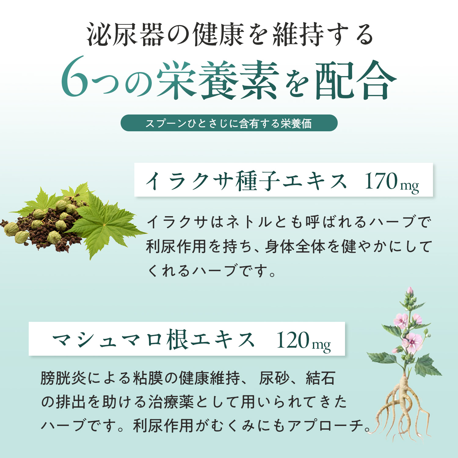 犬用ユリナリー+キドニー（腎臓＆泌尿器ケア）