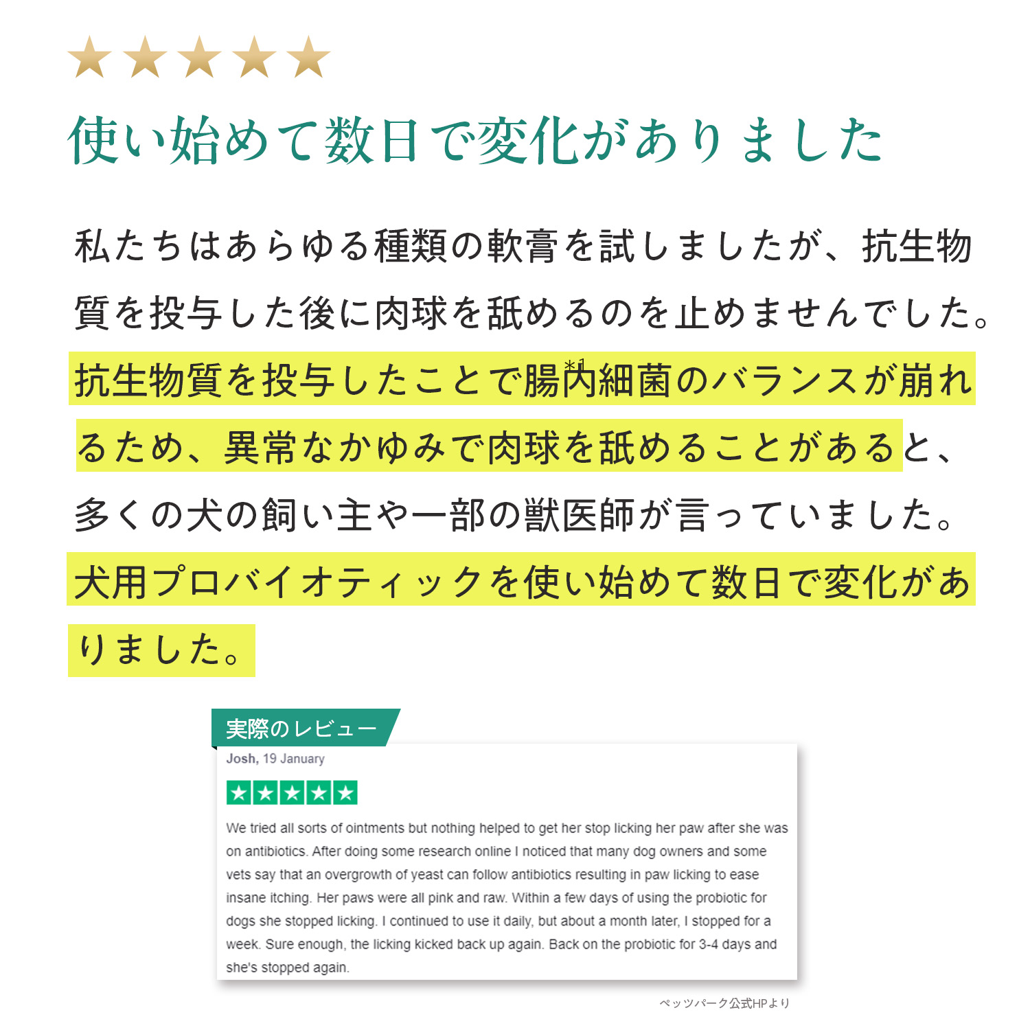 犬用プロバイオティック（消化器ケア）