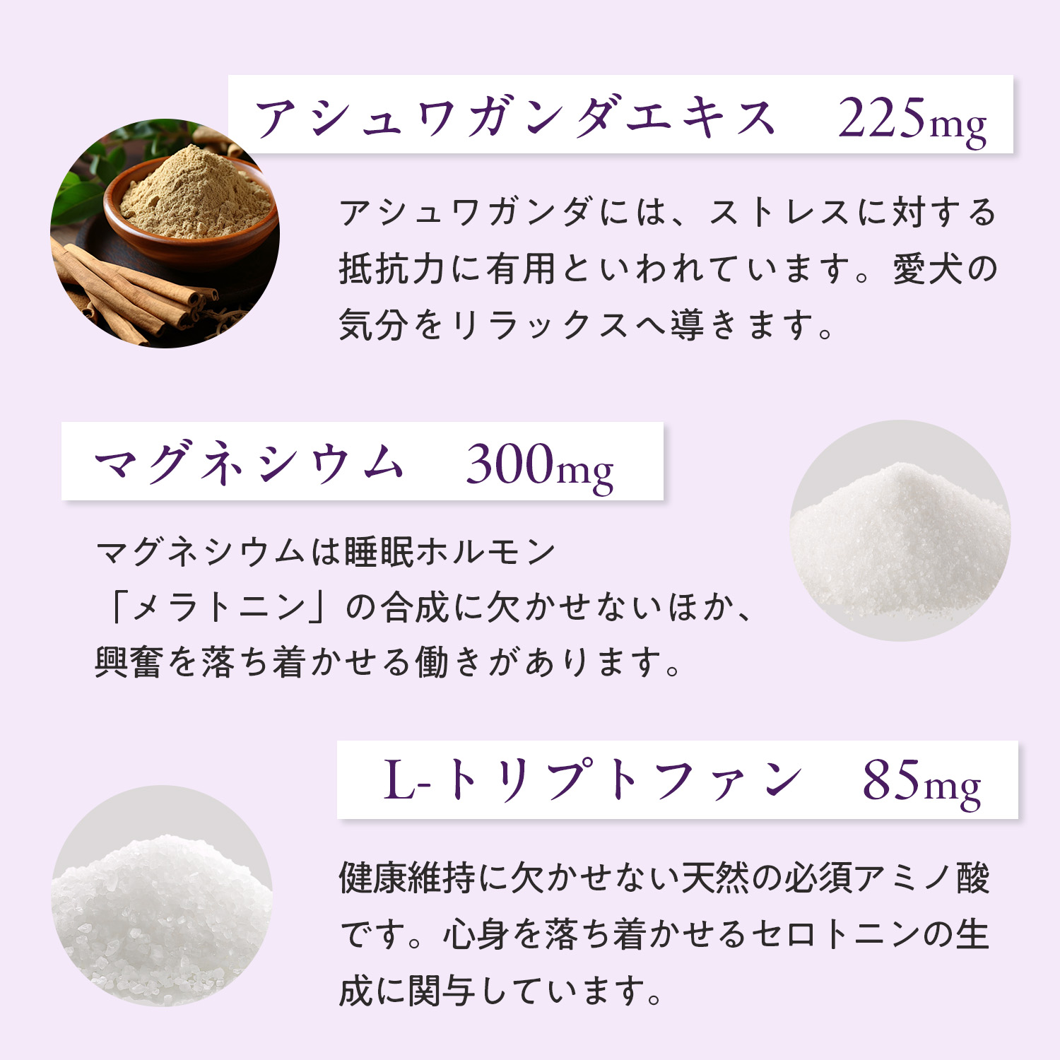 犬用ストレス+アングザイエティ