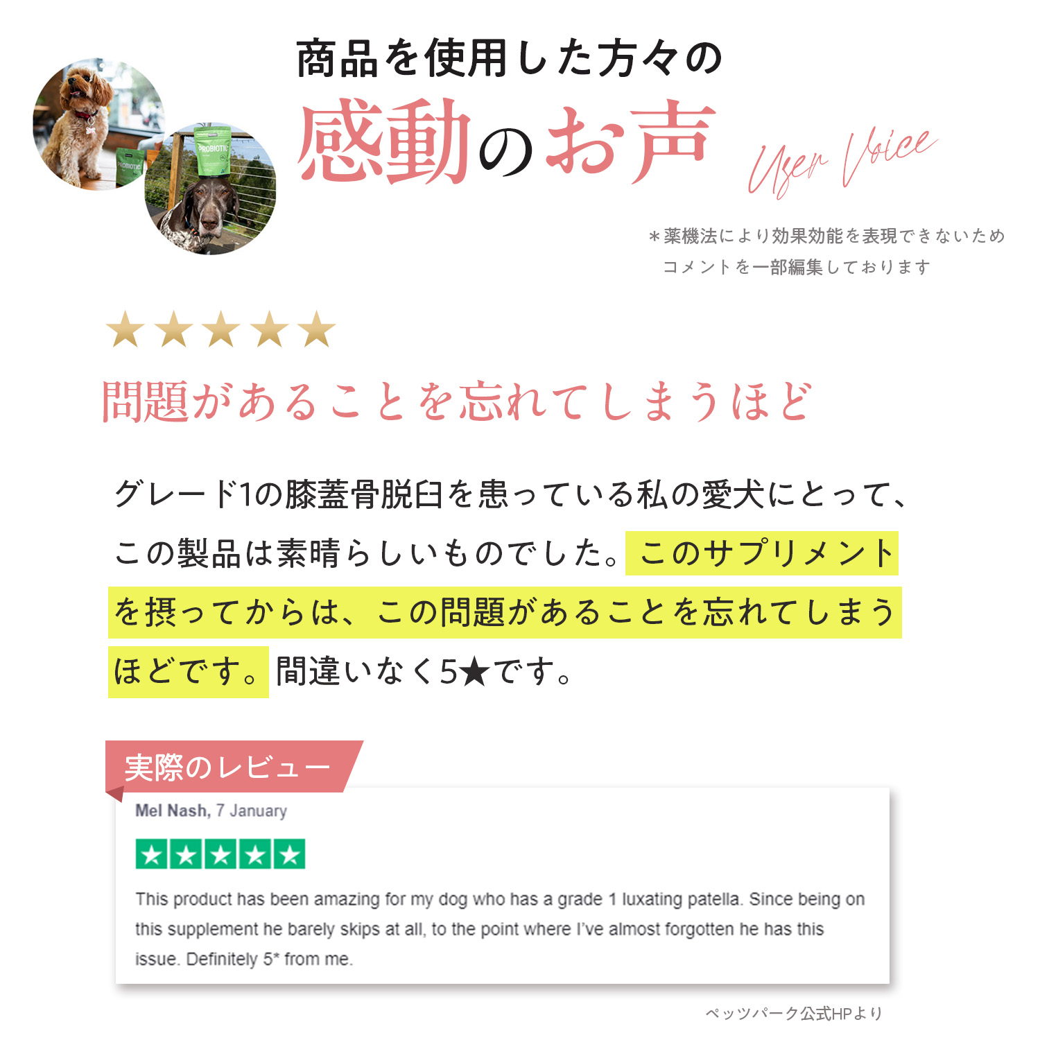 犬用ヒップ+ジョイント（関節ケア）