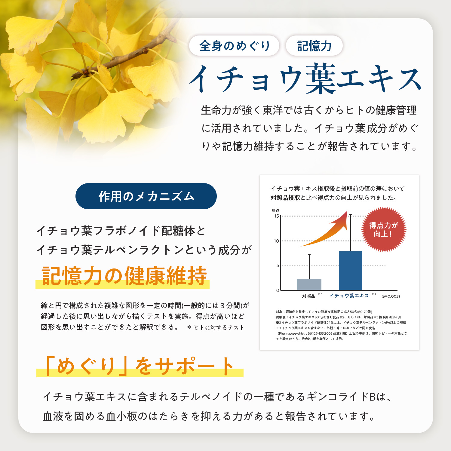 犬用ブレインサポート