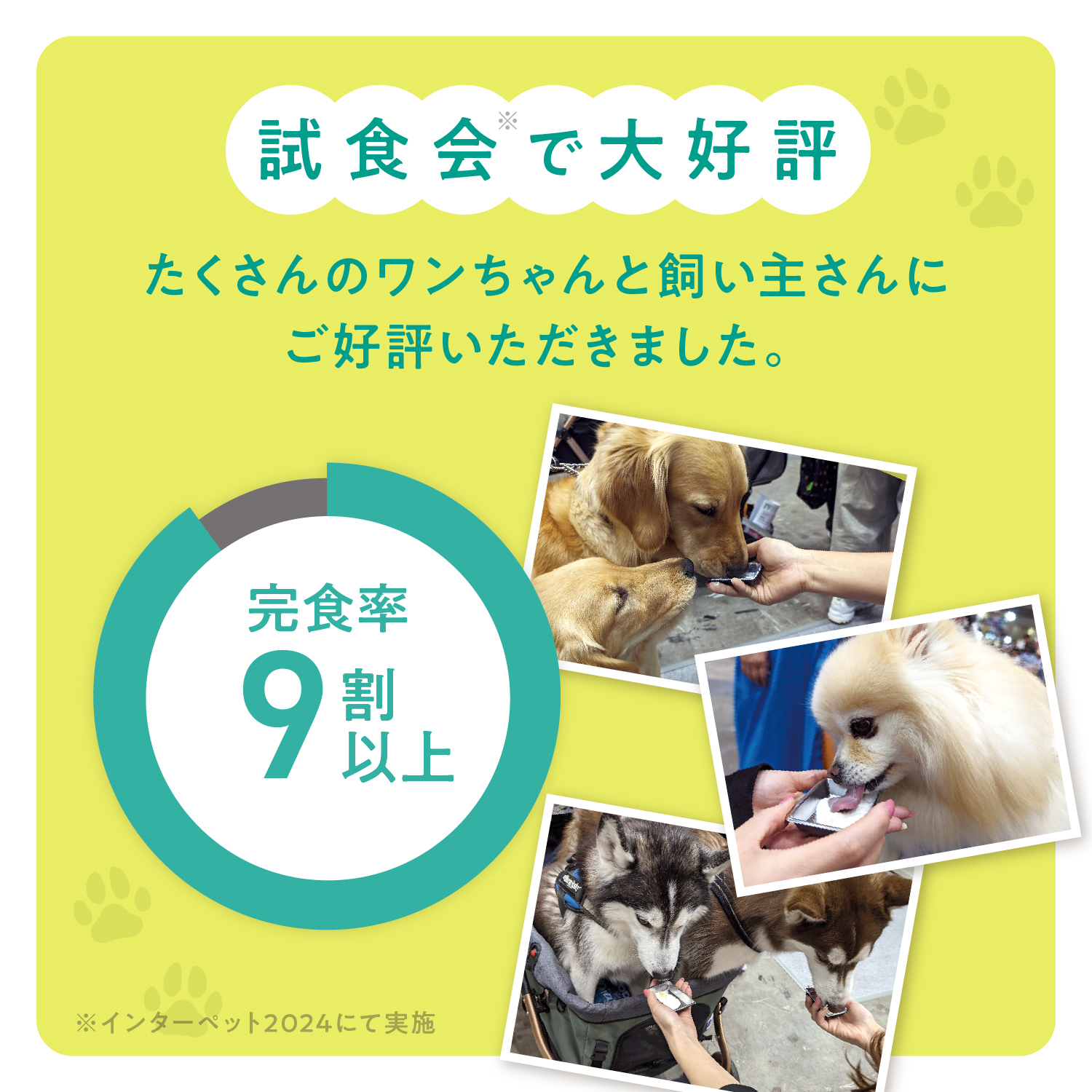 犬用プロバイオティック（消化器ケア）