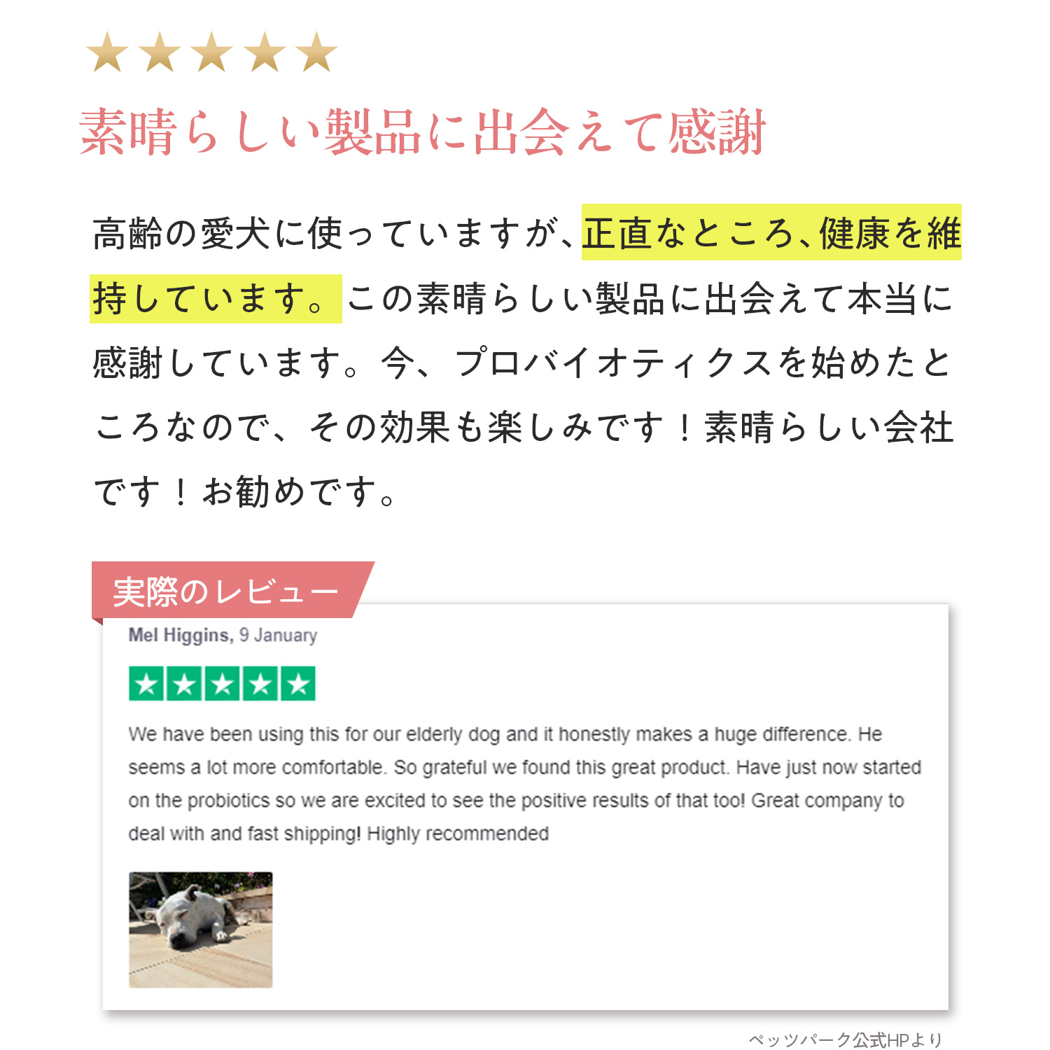 犬用ヒップ+ジョイント（関節ケア）