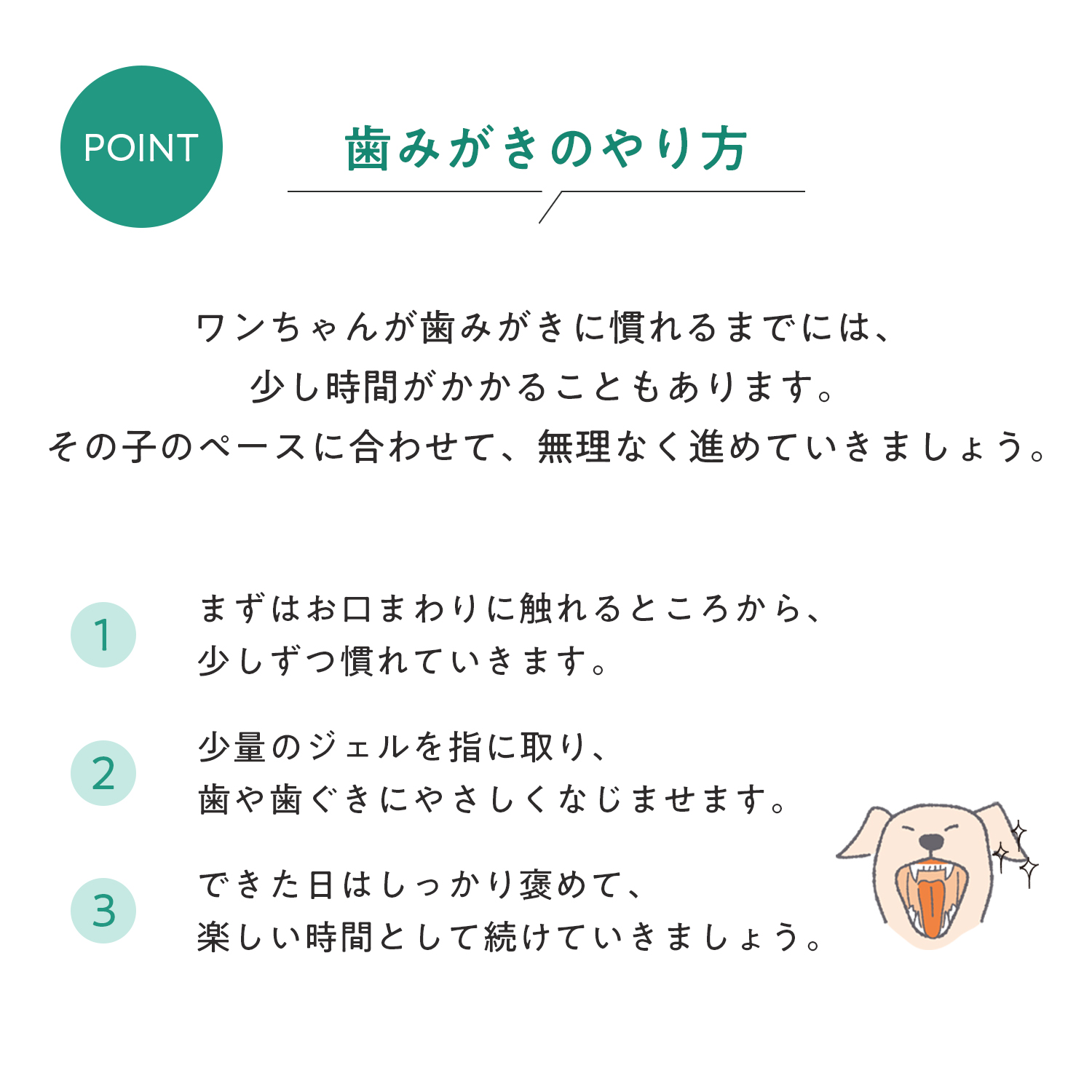 犬用トゥースペースト