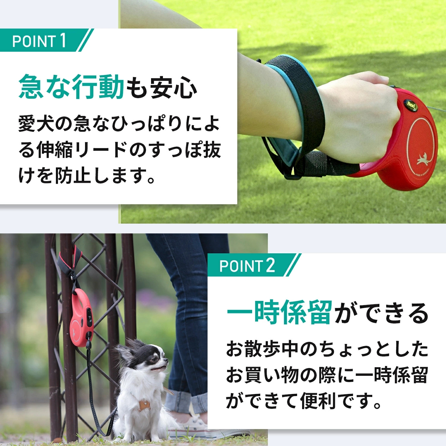 伸縮リード用ストラップ カラー: ブラック