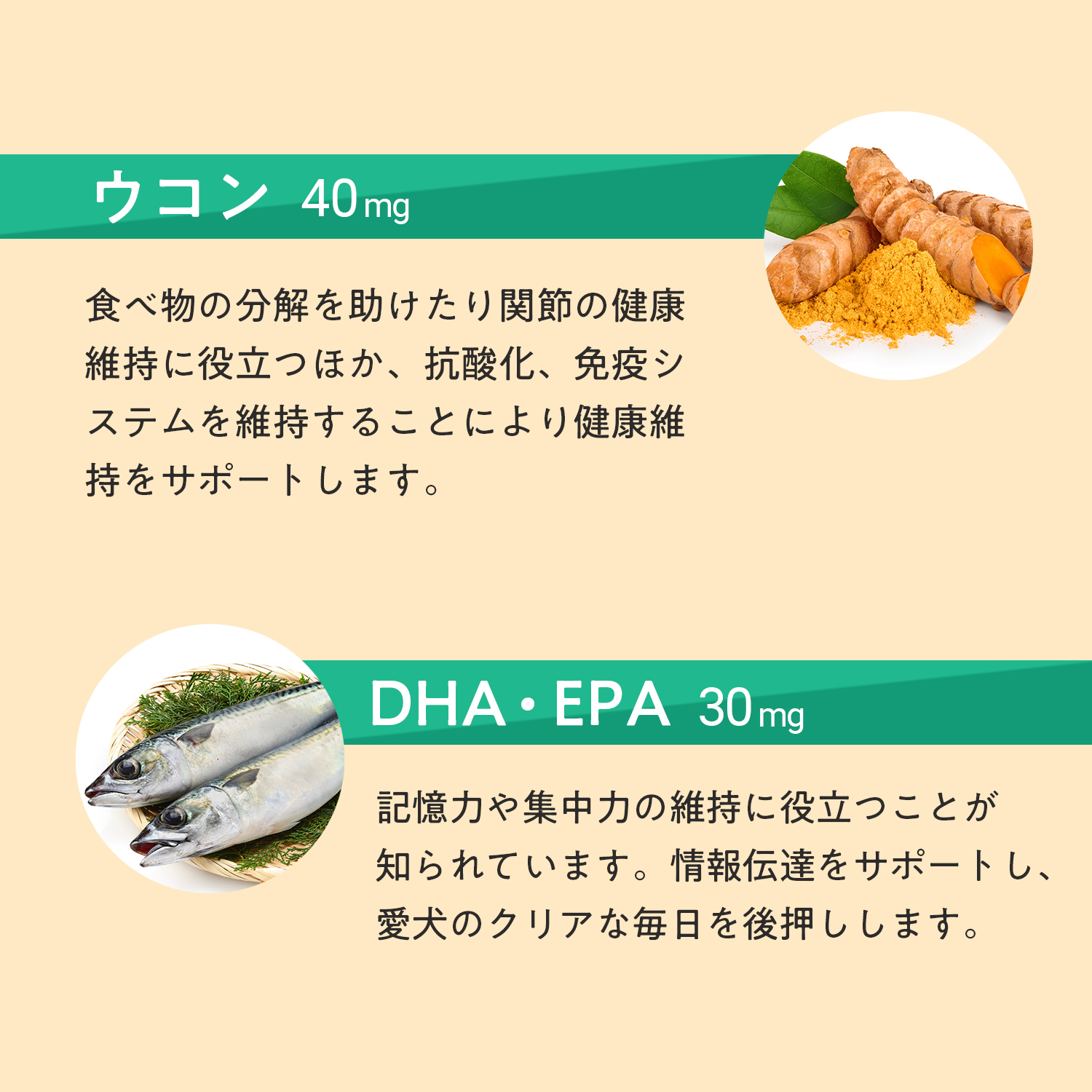 犬用マルチビタミン