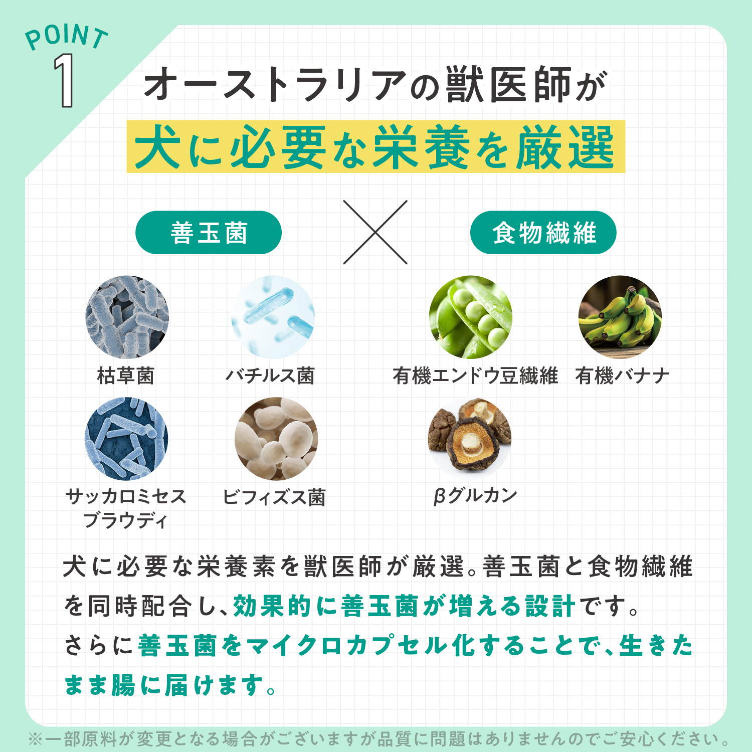 犬用プロバイオティック（消化器ケア）