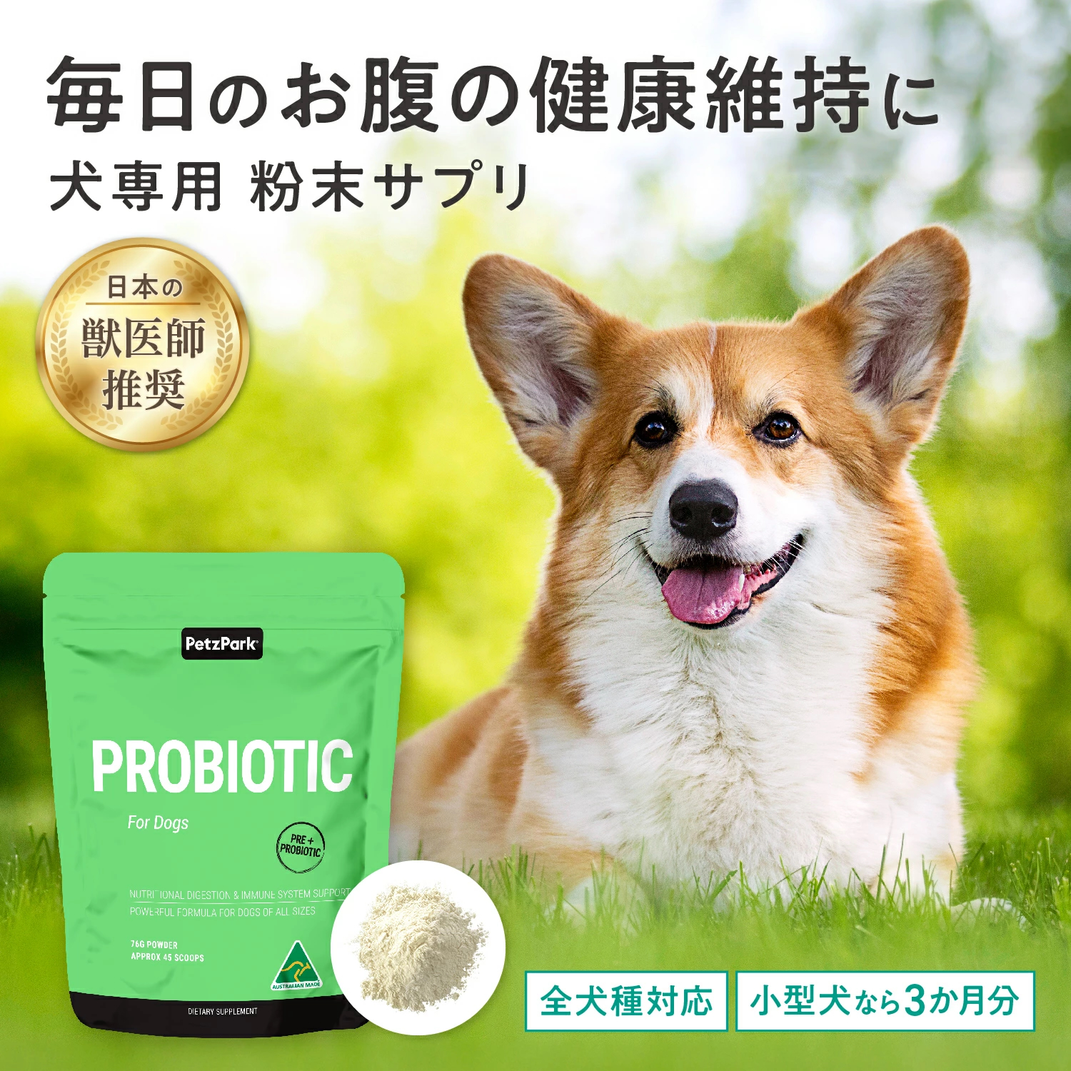 犬用プロバイオティック（消化器ケア）