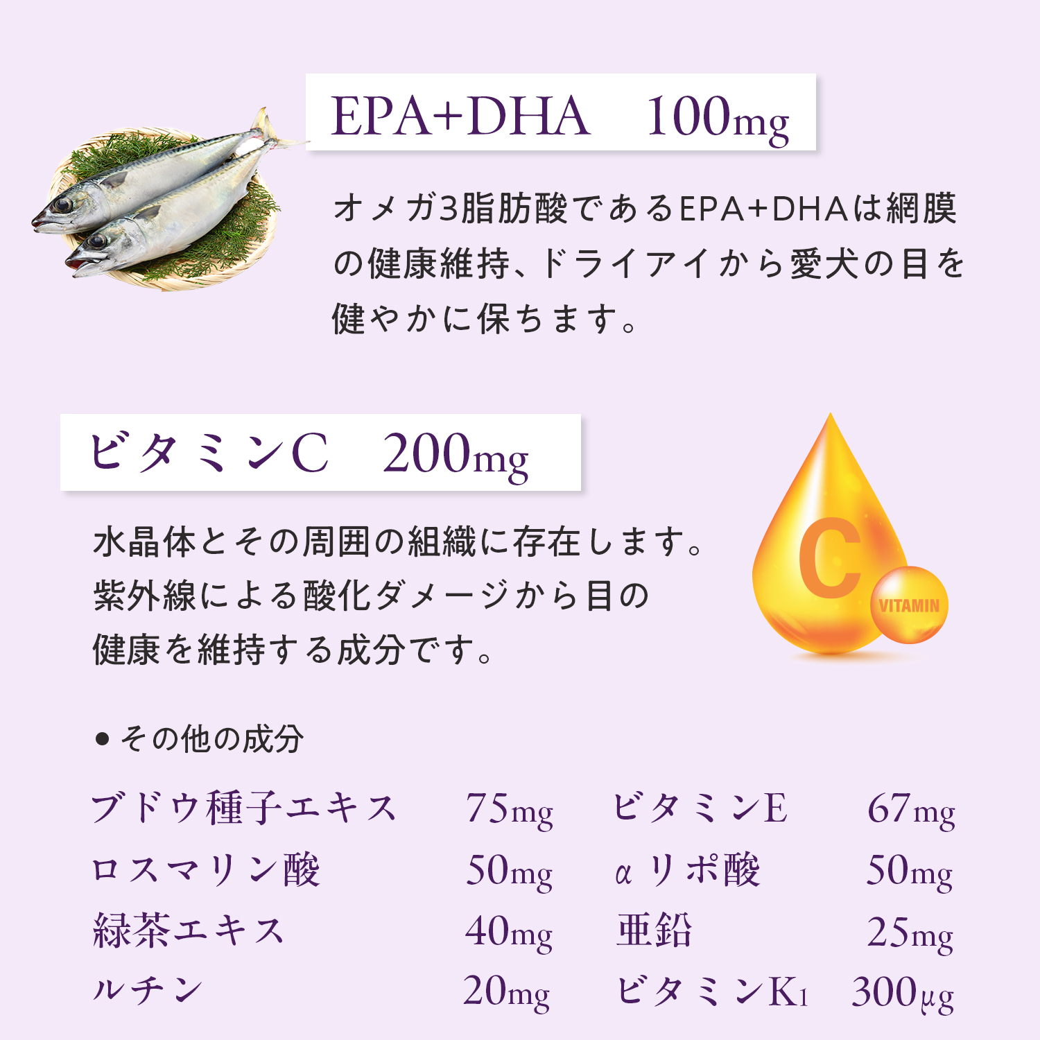 犬用アイサポート