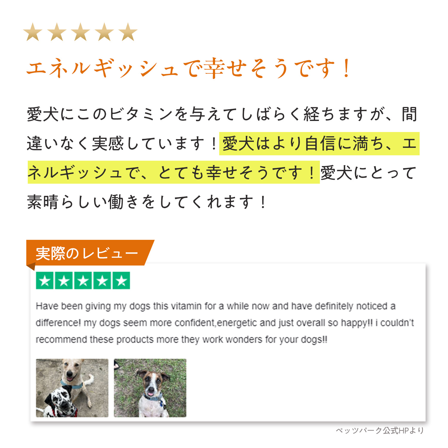 犬用マルチビタミン