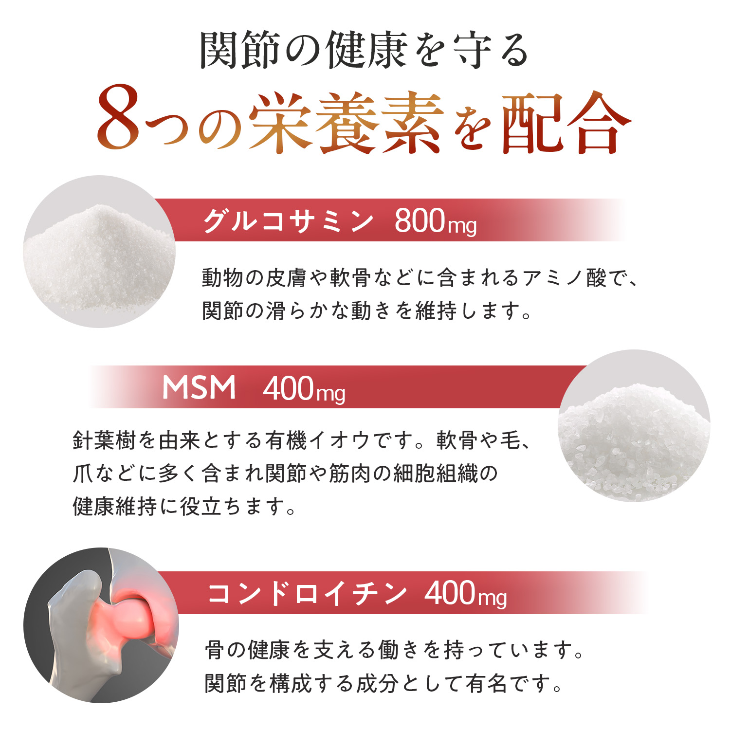 犬用ヒップ+ジョイント（関節ケア）