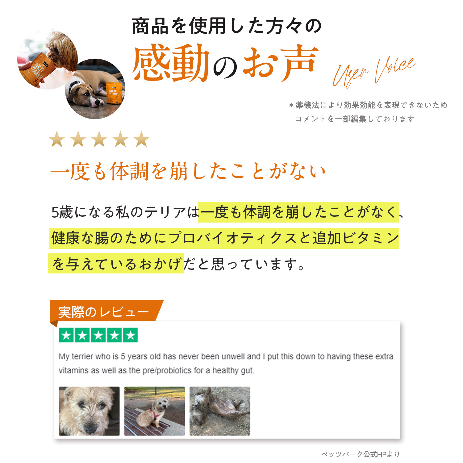 犬用マルチビタミン