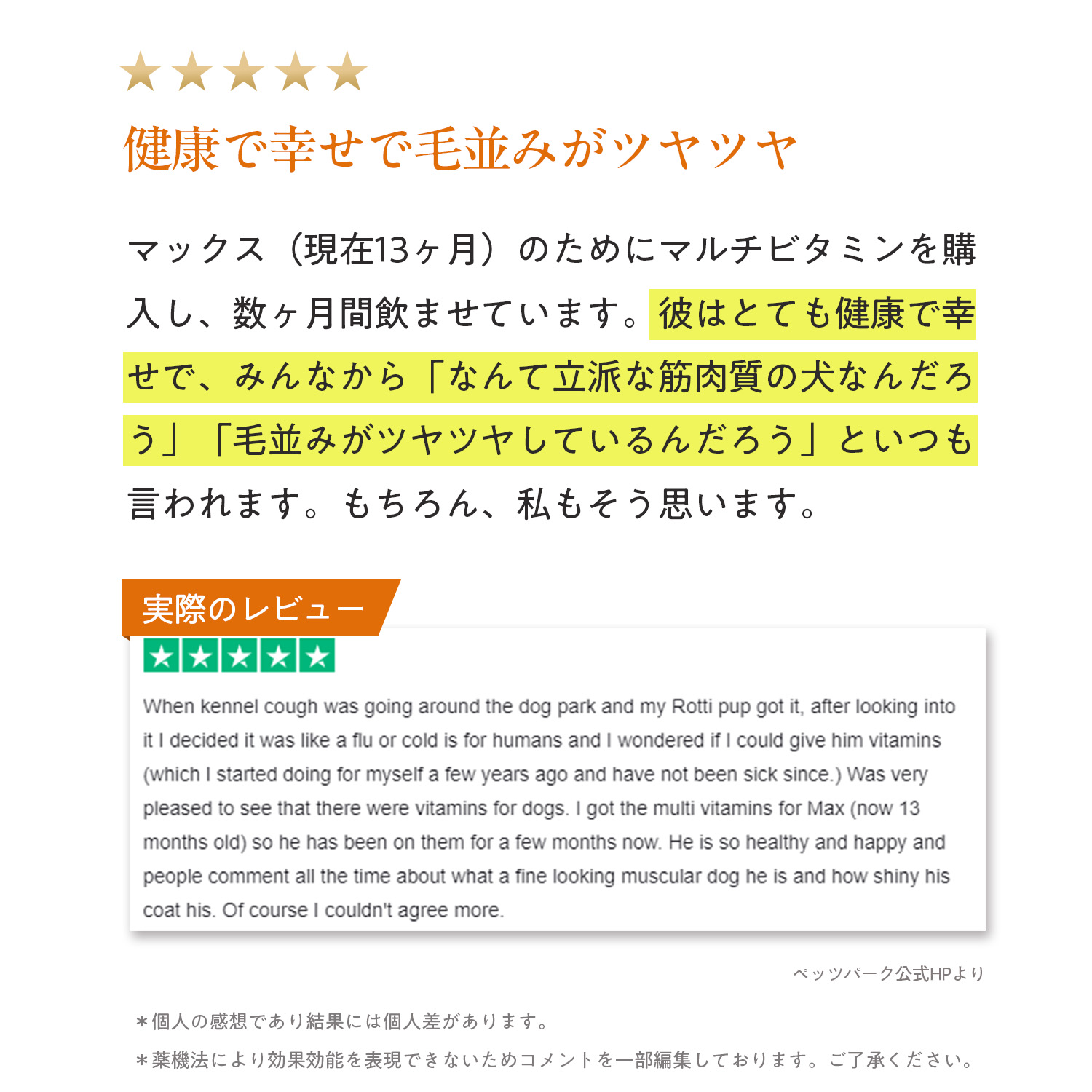 犬用マルチビタミン