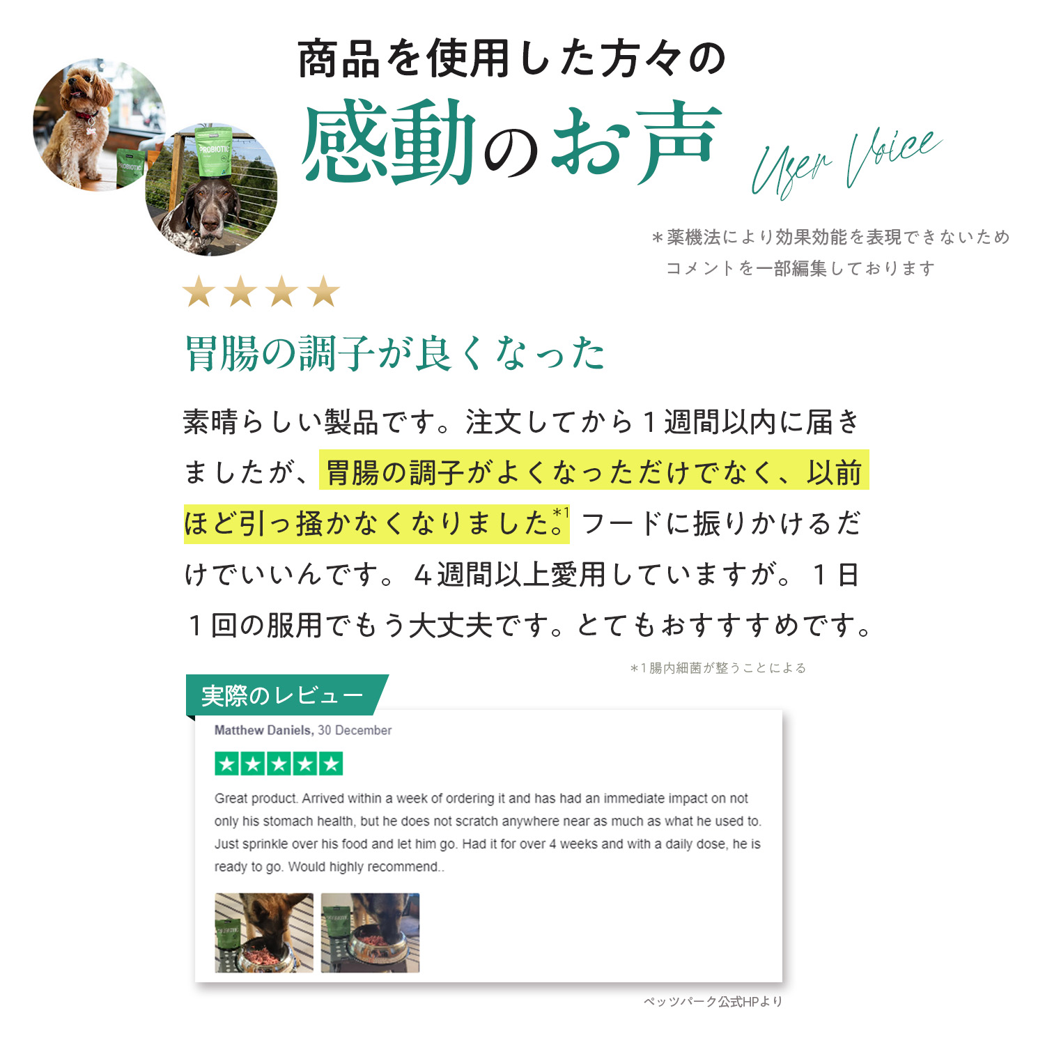 犬用プロバイオティック（消化器ケア）